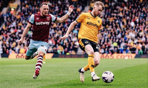 Emergency Vet: Essential Guide for Pet Owners